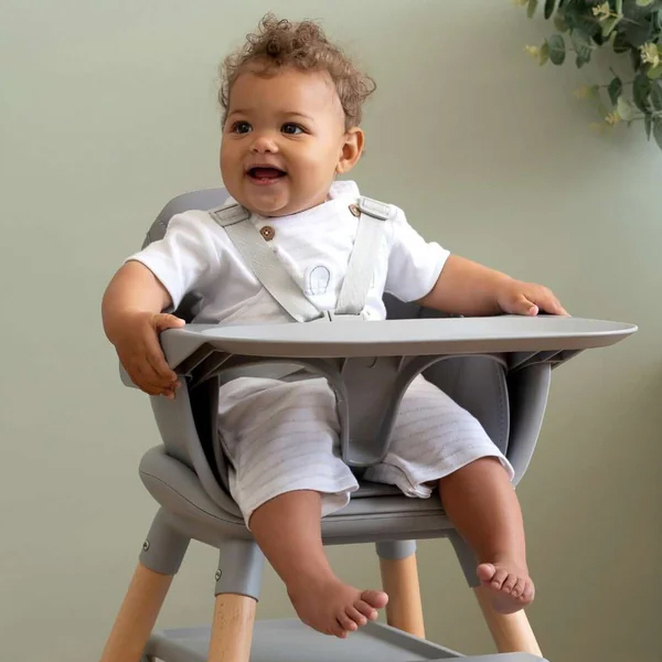  كراسي الطعام الخاصة بالأطفال