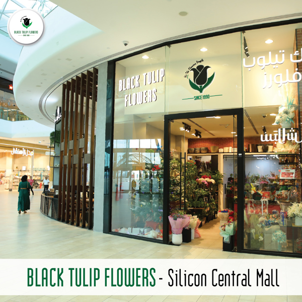 بلاك توليب للزهور